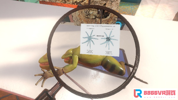 [VR交流学习] 解剖模拟器:青蛙 (Dissection Simulator: Frog Edition)6733 作者:admin 帖子ID:1772 交流学习,解剖,模拟器,青蛙,dissection