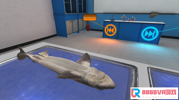 [VR交流学习]解剖模拟器：狗鲨 (Dissection Simulator: Dogfish Edition)8213 作者:admin 帖子ID:2644 
