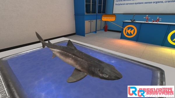 [Oculus quest] 解剖鲨鱼（VictoryXR）5713 作者:admin 帖子ID:4362 