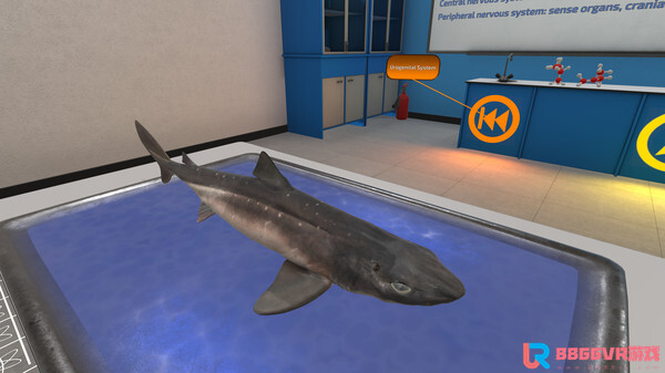 [Oculus quest] 解剖鲨鱼（VictoryXR）5590 作者:admin 帖子ID:4362 