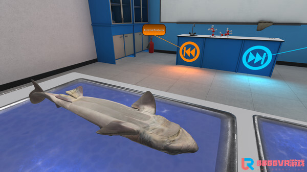 [Oculus quest] 解剖鲨鱼（VictoryXR）9033 作者:admin 帖子ID:4362 