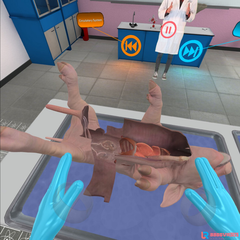 [Oculus quest] 解剖家猪 VR (VR Pig Dissection: Hoggin’ the Scalpel)8865 作者:admin 帖子ID:4363 