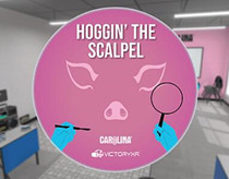 [Oculus quest] 解剖家猪 VR (VR Pig Dissection: Hoggin’ the Scalpel)2820 作者:admin 帖子ID:4363 
