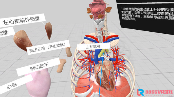 [VR游戏下载] 认识人体解剖 VR（Everyday Anatomy VR）5400 作者:admin 帖子ID:4393 