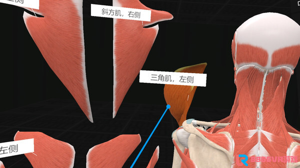 [VR游戏下载] 认识人体解剖 VR（Everyday Anatomy VR）7078 作者:admin 帖子ID:4393 