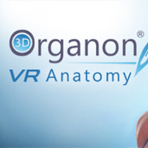 [Oculus quest]3D Organon VR 人体解剖学(3D Organon VR Anatomy 2021)6984 作者:admin 帖子ID:4425 