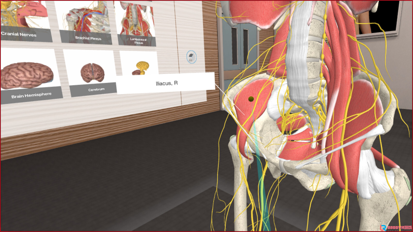 [Oculus quest]3D Organon VR 人体解剖学(3D Organon VR Anatomy 2021)9349 作者:admin 帖子ID:4425 