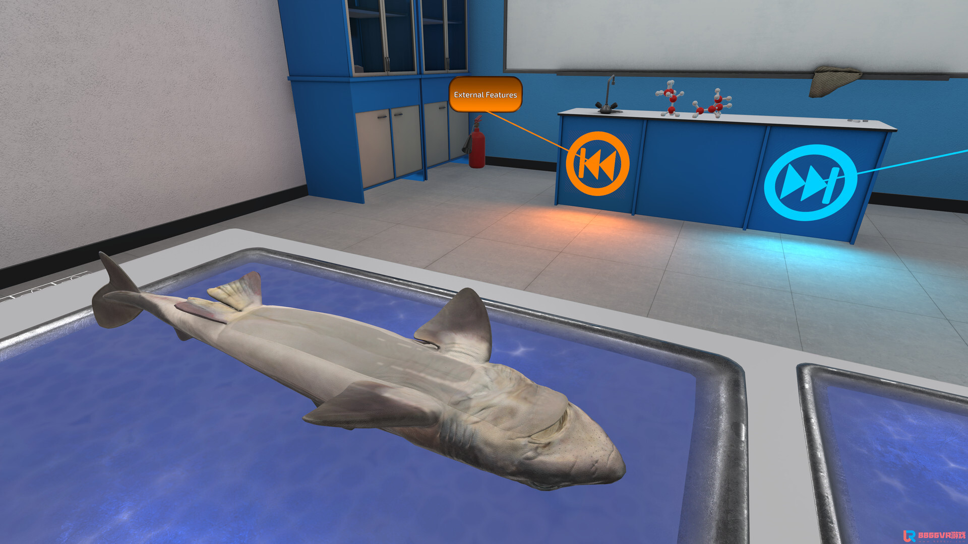 [Oculus quest] 解剖模拟器：角鲨版（Dissection Simulator: Dogfish Ed...7816 作者:yuanzi888 帖子ID:4866 
