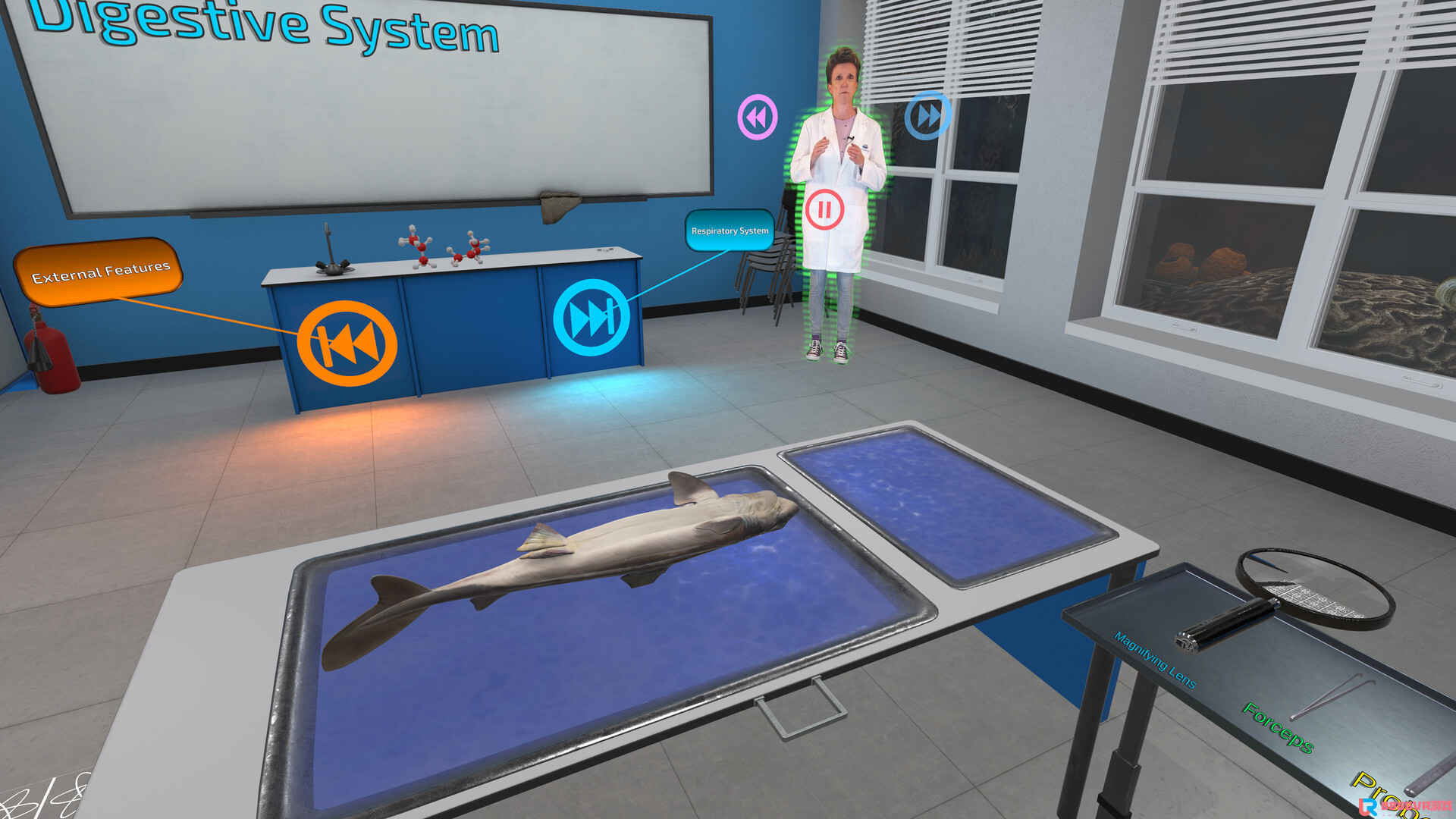 [Oculus quest] 解剖模拟器：角鲨版（Dissection Simulator: Dogfish Ed...7939 作者:yuanzi888 帖子ID:4866 