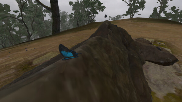 [VR游戏下载] 鳞翅目 昆虫观察（Lepidoptera）6929 作者:admin 帖子ID:5839 