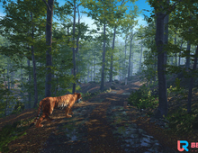 [VR游戏下载] 老虎拯救 VR（Big Cat Rescue VR）