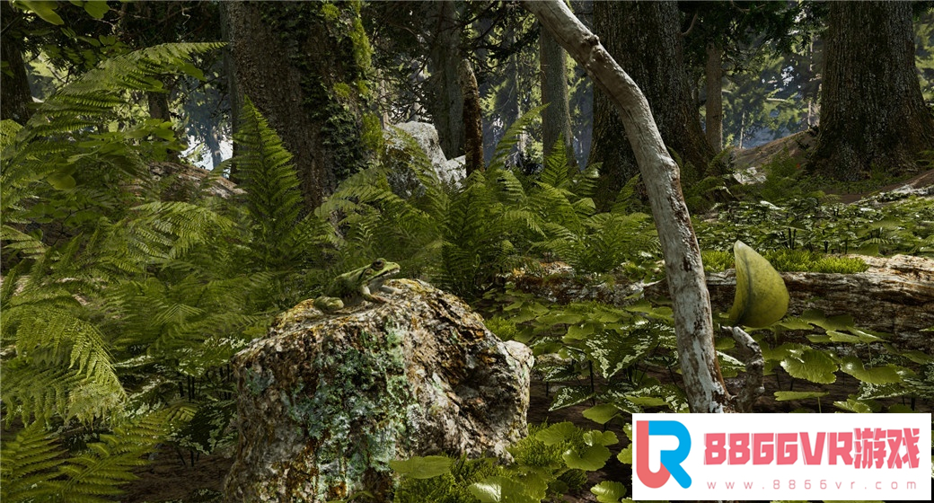 [VR交流学习] 森林浴：冥想与放松 (Shinrin-yoku) vr game crack2216 作者:蜡笔小猪 帖子ID:703 冥想,放松