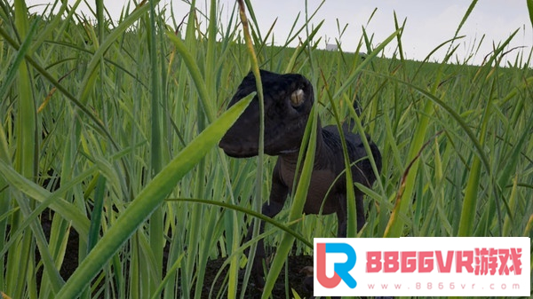 【VR破解】猛禽：白垩纪岛 [Raptor: Cretaceous Island]6346 作者:admin 帖子ID:1320 白垩纪,island