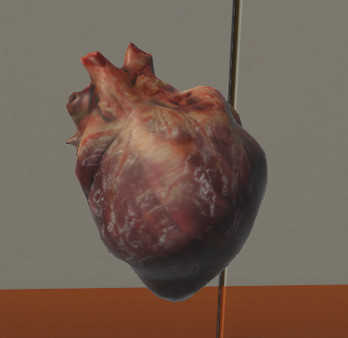 外科三维骨骼 Surgical Study and 3D Skeletons for Medical School Students5357 作者:admin 帖子ID:2497 3D骨骼,3d骨骼模型,3d骨骼绑定,3d骨骼软件,3d怎么删除骨骼