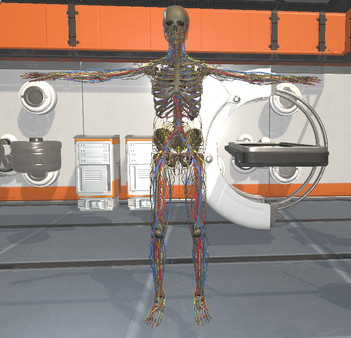 外科三维骨骼 Surgical Study and 3D Skeletons for Medical School Students179 作者:admin 帖子ID:2497 3D骨骼,3d骨骼模型,3d骨骼绑定,3d骨骼软件,3d怎么删除骨骼