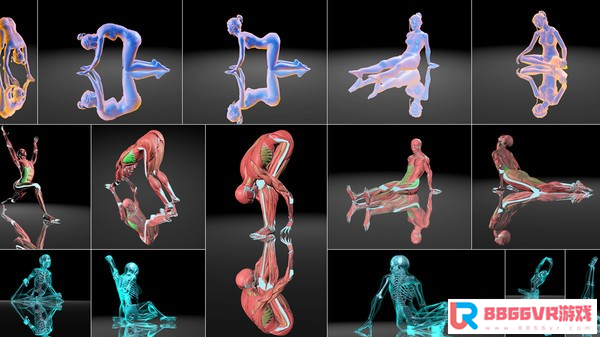 [VR交流学习] VirtuaLiron-瑜伽练习 VirtuaLiron - Immersive YOGA practice1034 作者:admin 帖子ID:2569 
