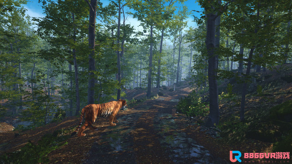 [VR游戏下载] 老虎拯救 VR（Big Cat Rescue VR）1966 作者:admin 帖子ID:3169 