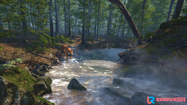 [VR游戏下载] 老虎拯救 VR（Big Cat Rescue VR）9700 作者:admin 帖子ID:3169 