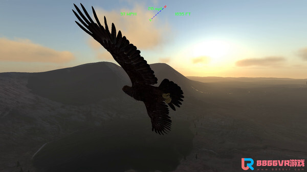 [VR游戏下载] 雄鹰飞行模拟器 (Aquila Bird Flight Simulator)5022 作者:蜡笔小猪 帖子ID:906 飞行模拟器,模拟器,bird
