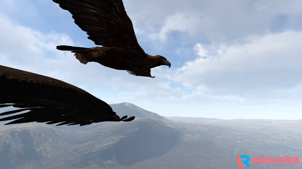[VR游戏下载] 雄鹰飞行模拟器 (Aquila Bird Flight Simulator)7456 作者:蜡笔小猪 帖子ID:906 飞行模拟器,模拟器,bird