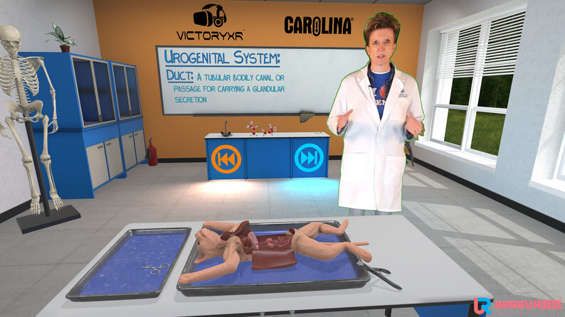 [Oculus quest] 解剖猫科动物 VR（Cat Dissection）1307 作者:admin 帖子ID:4361 