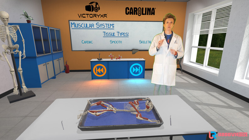 [Oculus quest] 解剖猫科动物 VR（Cat Dissection）5265 作者:admin 帖子ID:4361 