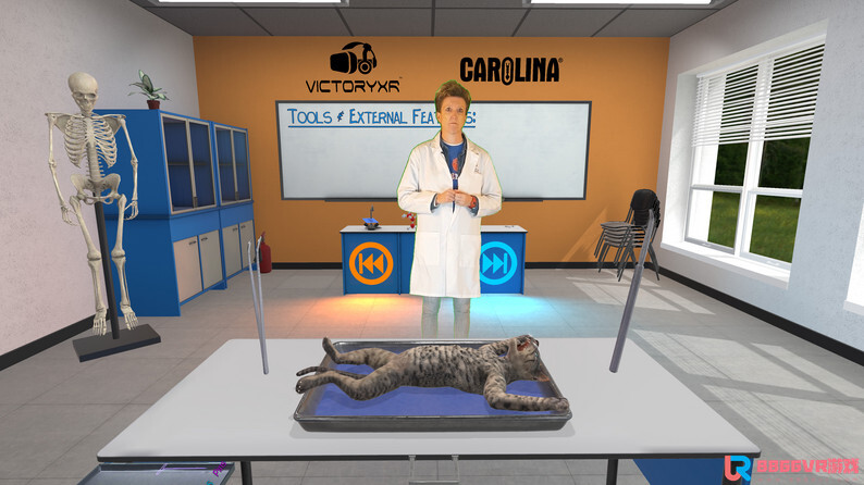 [Oculus quest] 解剖猫科动物 VR（Cat Dissection）2135 作者:admin 帖子ID:4361 