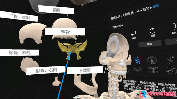 [VR游戏下载] 认识人体解剖 VR（Everyday Anatomy VR）1632 作者:admin 帖子ID:4393 