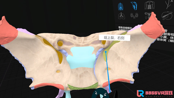 [VR游戏下载] 认识人体解剖 VR（Everyday Anatomy VR）9064 作者:admin 帖子ID:4393 