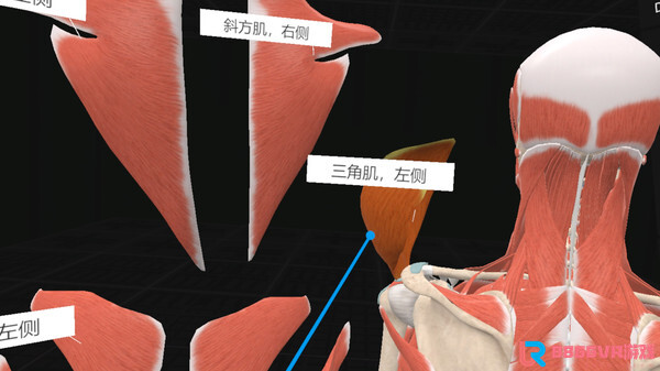 [VR游戏下载] 认识人体解剖 VR（Everyday Anatomy VR）5734 作者:admin 帖子ID:4393 