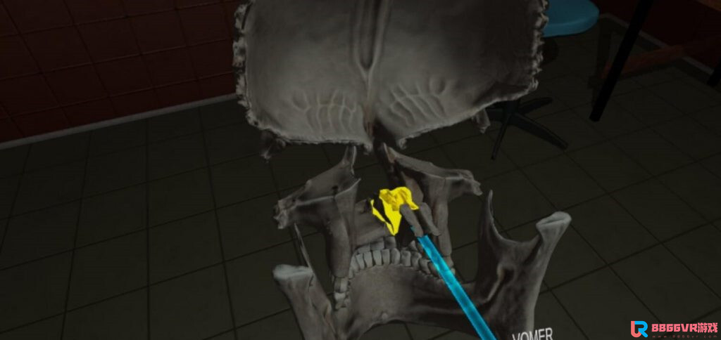 [Oculus quest] 人体解剖学（Human Anatomy Puzzle）375 作者:yuanzi888 帖子ID:4692 
