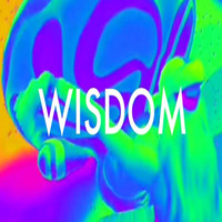 [Oculus quest] 智慧VR（Wisdom VR）3196 作者:yuanzi888 帖子ID:4752 