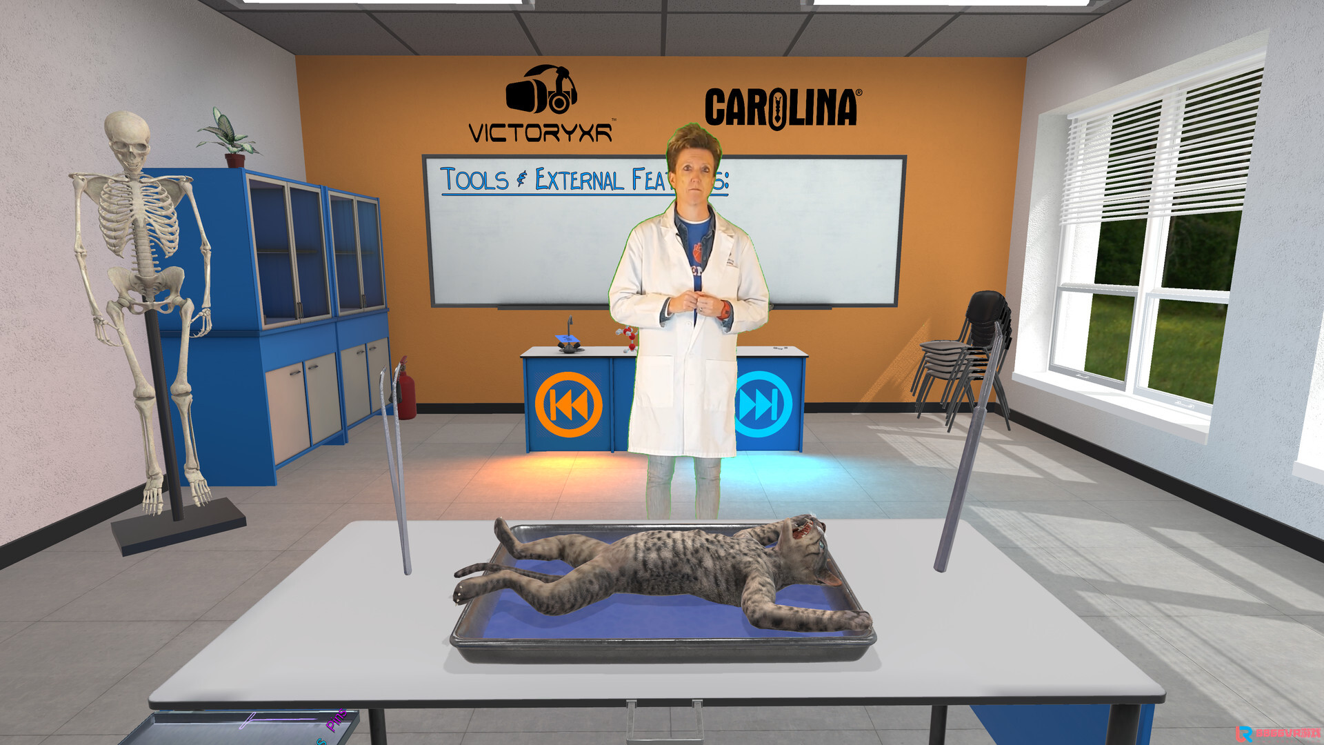 [Oculus quest] 解剖猫科动物（Dissection Simulator – Cat Edition）1287 作者:yuanzi888 帖子ID:4864 