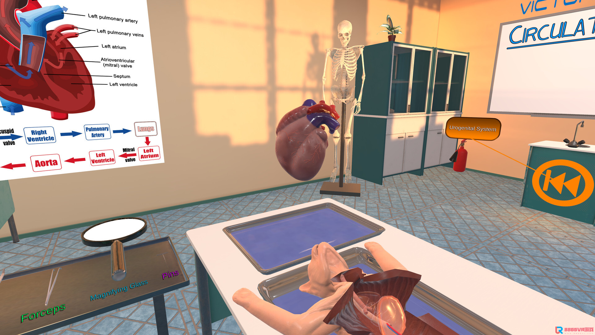 [Oculus quest] 解剖猫科动物（Dissection Simulator – Cat Edition）6989 作者:yuanzi888 帖子ID:4864 