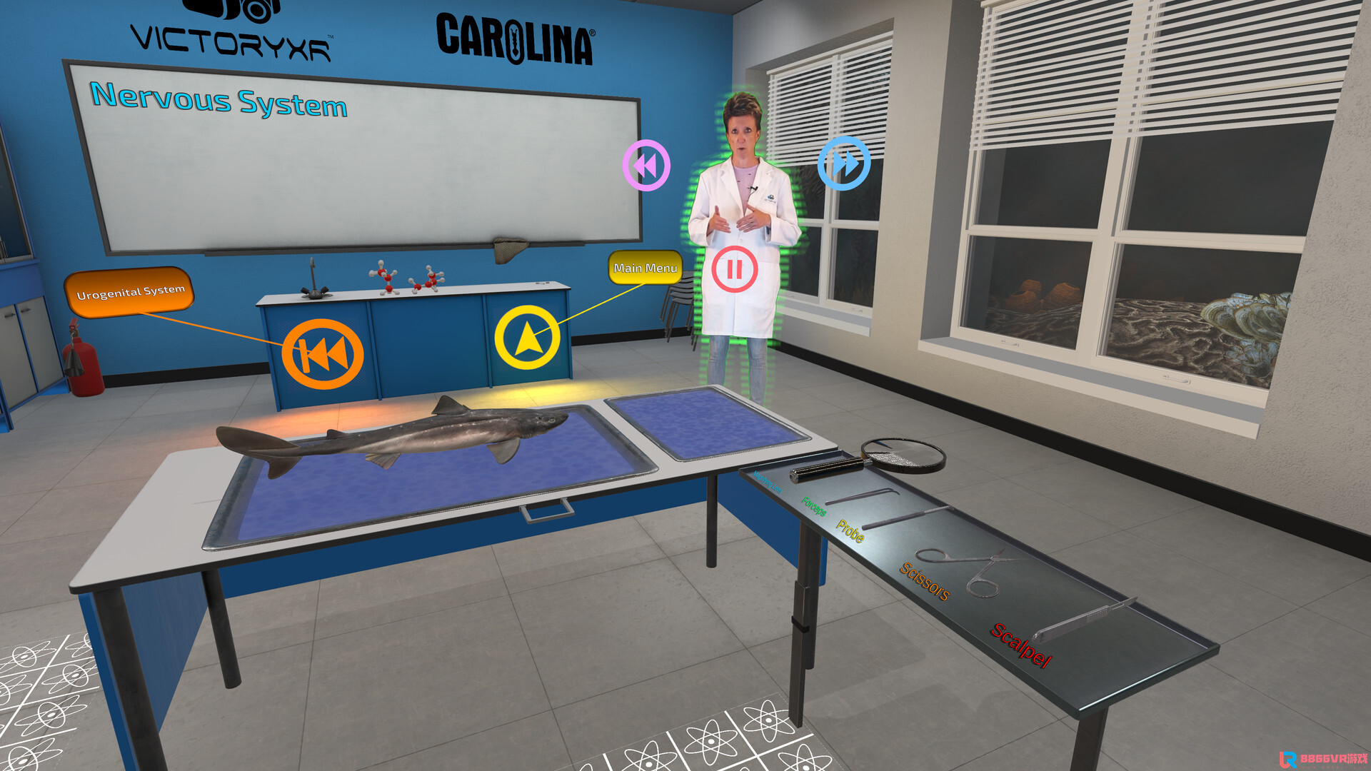 [Oculus quest] 解剖模拟器：角鲨版（Dissection Simulator: Dogfish Ed...3889 作者:yuanzi888 帖子ID:4866 