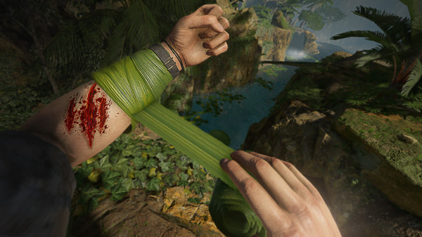 [VR游戏下载] 绿色地狱VR（Green Hell VR）662 作者:admin 帖子ID:5443 