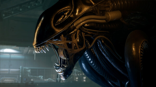 [VR游戏下载] 异形:盗贼入侵(Alien: Rogue Incursion)1.066881 作者:admin 帖子ID:6242 
