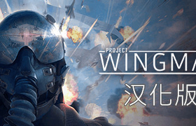 【VR汉化】僚机计划 VR（Project Wingman）