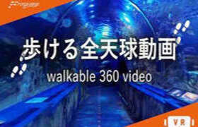 [Oculus quest] 步行 360 度全景视频（Walkable 360 Video）