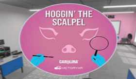 [Oculus quest] 解剖家猪 VR (VR Pig Dissection: Hoggin’ the Scalpel)