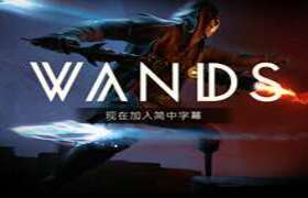 [Oculus quest] 魔杖 VR（Wands VR）